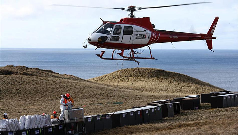 Zwischen 2010 und 2011 wurden mit Hubschrauber auf der gesamten Insel Giftköder abgeworfen.
