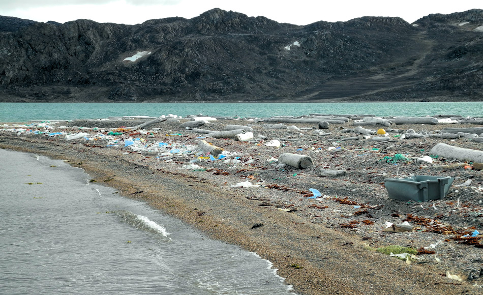 Plastikverschmutzung wird als eine dringendsten Umweltprobleme weltweit betrachtet, auch in der Arktis. Die AECO hat nun entschieden, der UN-Kampagne «Clean Seas» beizutreten, die Anstrengungen bei Strandreinigungen zu verstärken und will seine Mitglieder ermuntern, von Einwegplastikgegenständen auf den Schiffen abzusehen. Bild: Sysselmannen