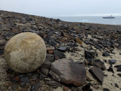 Mysteriöse Steinkugel auf Champ Island, Franz-Josef-Land (© Poseidon Expeditions)