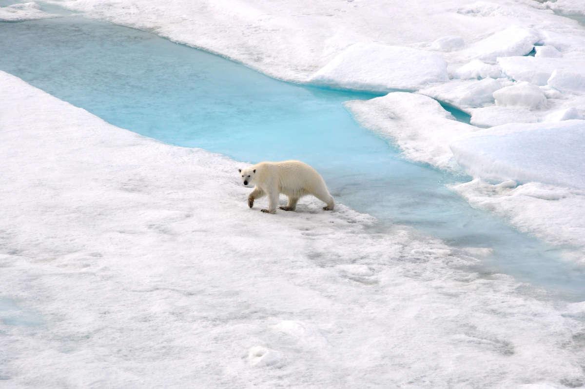 PolarNews Impressionen 4