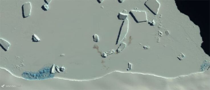 Die rotbraunen Guano-Flecken auf dem Eis zeigen die Existenz einer Kaiserpinguinkolonie. Bild vom