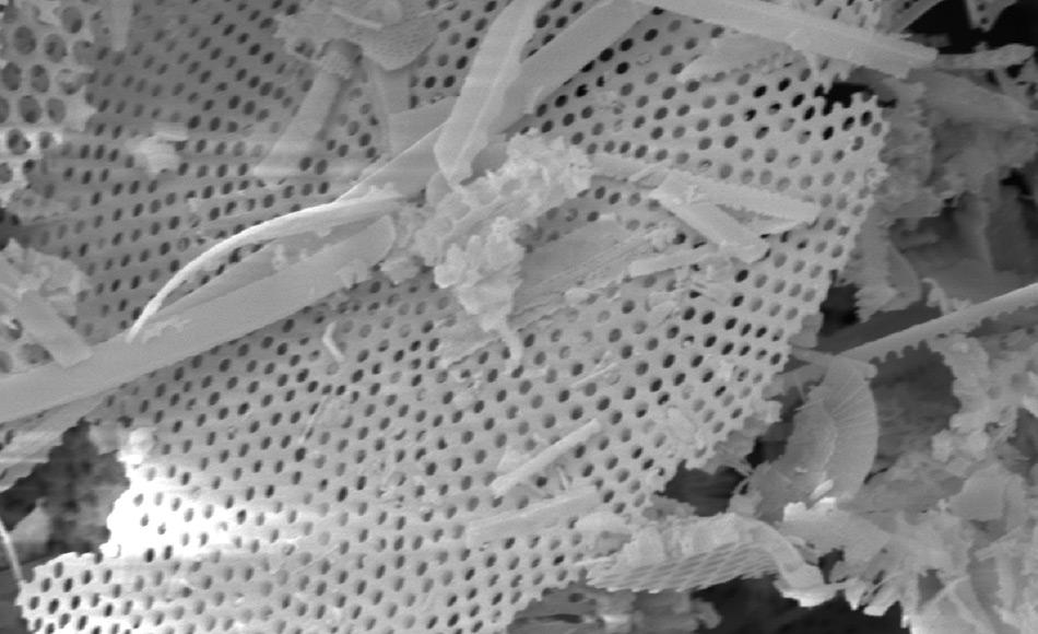 Eine mehr als 3000 Mal vergrÃ¶Ãerte Elektronen-Mikroskop Aufnahme der kieselalgenreichen Sedimente zeigt die feinen Strukturen, die den Transport als Staub mit dem Wind fÃ¶rderten. Bild: Reed Scherer, Northern Illinois University.
