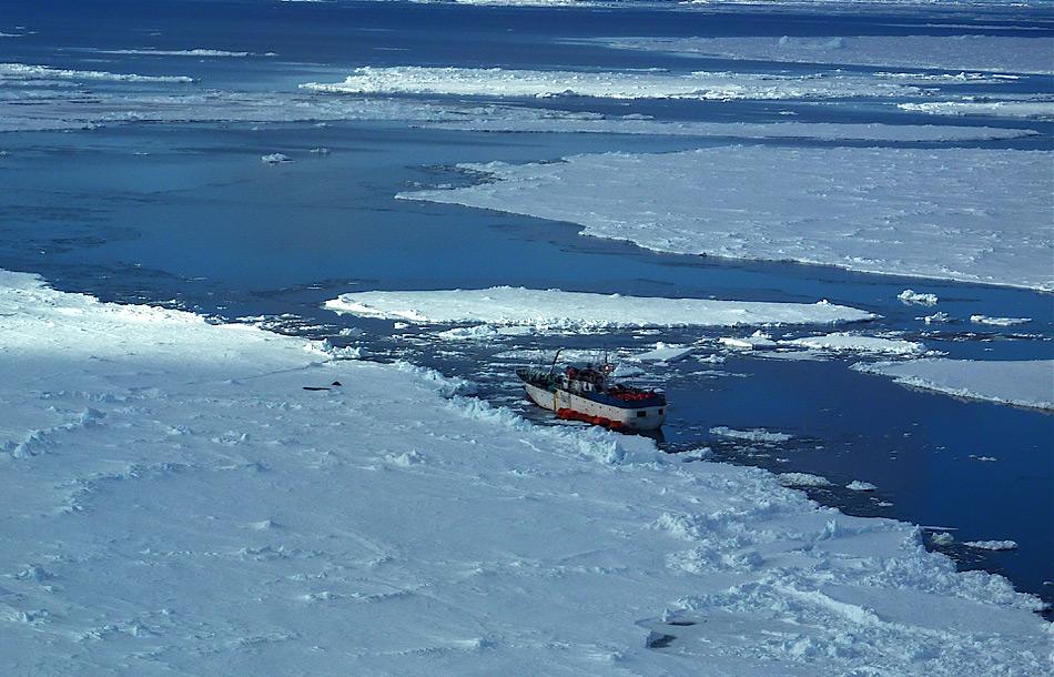 Mit teilweise abenteuerlichen Schiffen werden in der Antarktis die Leinen zum Fischfang ausgelegt.