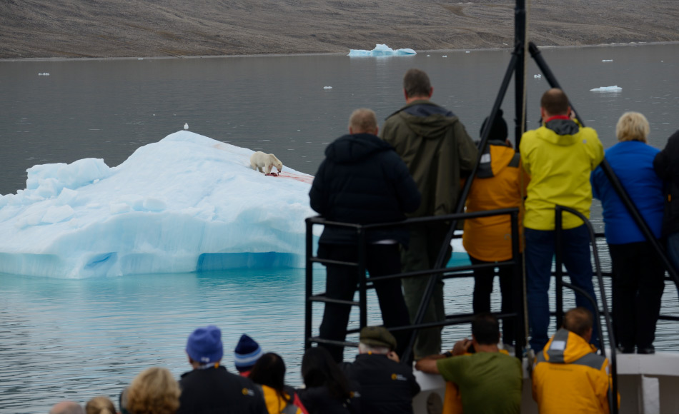 Polartourismus ist in den letzten zehn Jahren stark gewachsen. Dies fÃ¼hrt zu grossen Herausforderungen in den polaren Regionen und fÃ¼r die Tourismusindustrie, da die Leute vor allem Natur und Tiere sehen mÃ¶chten. Bild: Michael Wenger