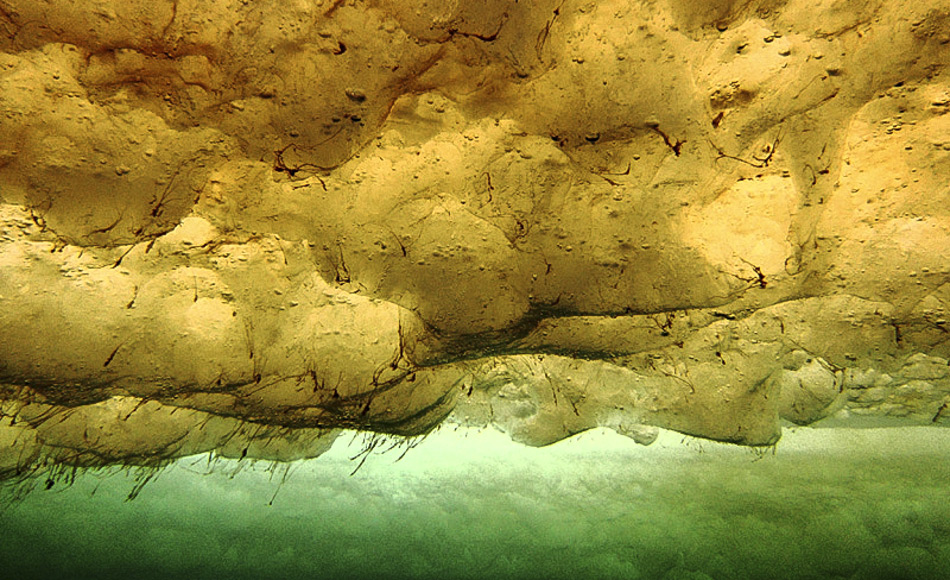 Unter dem Meereis hat sich eine Algengemeinschaft angesiedelt. Die Unterseite des Meereises stellt einen extremen Lebensraum dar, kalt, salzig und dunkel wÃ¤hrend der meisten Zeit des Jahres. (Bild: Andrew Thurber - Tiefsee- und Polarbiologie. Ein Forschungsblog Ã¼ber Polar- und Tiefseeforschung)
