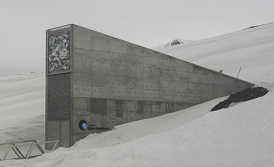 Die Svalbard Global Seed Vault, zu Deutsch ‘Weltweiter Saatgut-Tresor auf Svalbard’, ist eine sichere Samenbank auf der norwegischen Insel Spitzbergen in der Nähe von Longyearbyen im abgelegenen arktischen Svalbard Archipel, etwa 1300 km vom Nordpol entfernt. Im Tresor sind eine Vielzahl von Pflanzensamen aufbewahrt, Duplikate von Samen, die weltweit in Genbanken gelagert werden. Der Samentresor ist eine Versicherung gegen den Verlust von Samen in anderen Genbanken durch großräumige regionale oder globale Krisen. (Bild: Wikipedia, Miksu)