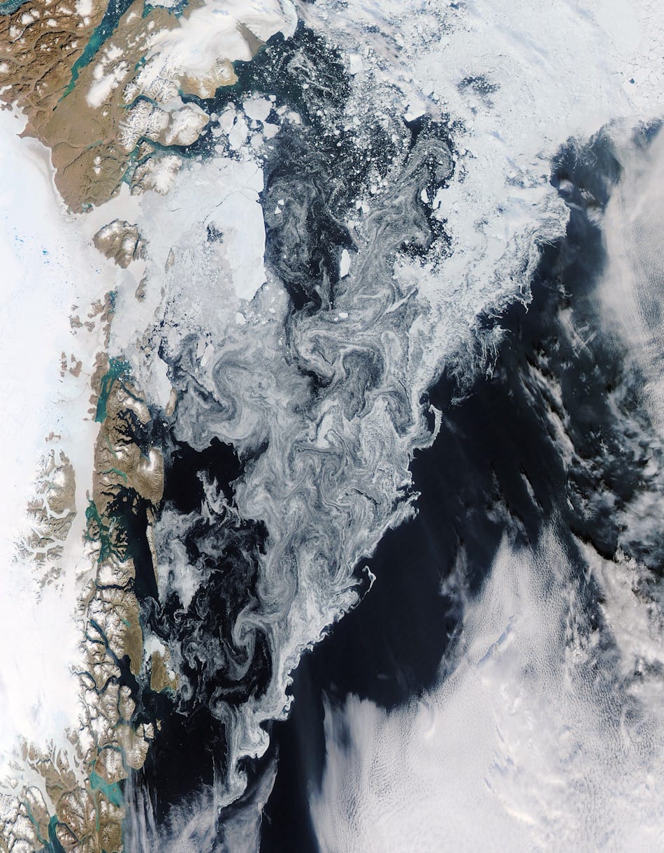 Angetrieben vor allem durch den Ostgrönlandstrom sind weite Teile der Grönlandsee von Eis bedeckt, besonders im Norden und an der Ostküste Grönlands. Dadurch ist der Blick auf das Leben unter dem Eis auch für Satelliten verborgen. Bild: Aqua/MODIS – NASA worldview