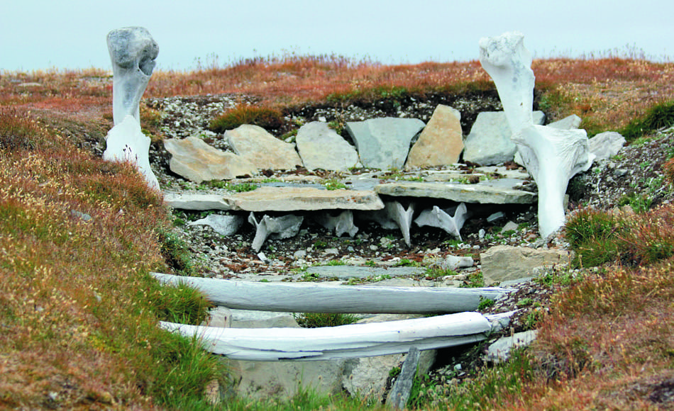 Die Thule waren die Vorläufer der heutigen Inuit-Kulturen und lebten an den Küstengebieten der Arktis vor allem vom Walfang. Ihren Ursprung konnten die Forscher jetzt im Bereich von Point Barrow zurückverfolgen. Bild: Wikipedia / Timkal