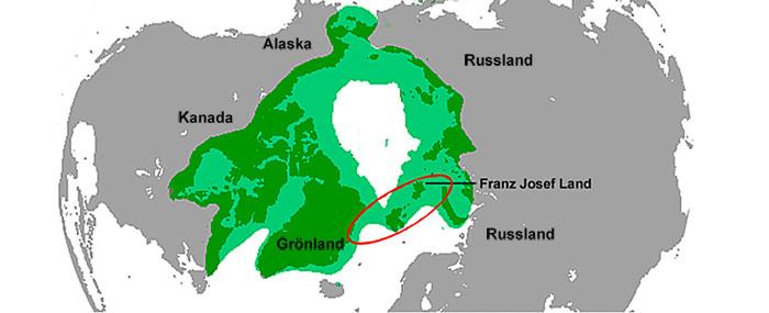 Eisbaerenpopulation-Spitzbergen