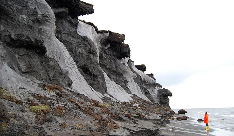 Bilder von der erodierenden Steilküste der kleinen, russischen Insel Muostakh -östlich der Hafenstadt Tikisi gelegen. Auf diesem Bild lässt sich erahnen, warum man in den Anfangszeiten der Permafrostforschung vermutete, es befänden sich keine Eiskeile, sondern ganz Gletscher im Untergrund. Foto: Thomas Opel, AWI