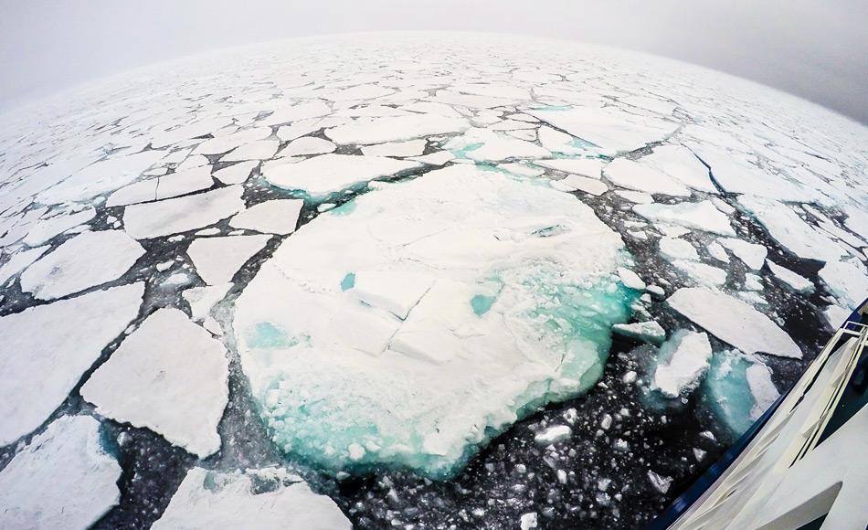 Das arktische Meereis spielt eine wichtige Rolle im Klimasystem der Erde. Es kühlt die Polargebiete, mäßigt das Klima und wirkt wie ein Sonnenschirm. Eis hat eine helle Oberfläche, die 80 Prozent des Sonnenlichtes in den Weltraum reflektiert. Wenn das Meereis schmilzt, wird es durch eine dunkle Ozeanoberfläche ersetzt, die Wärme absorbiert. Bild: Katja Riedel,