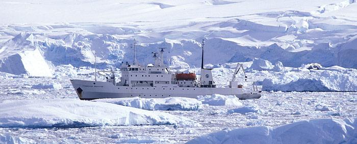 Molchanov in der Antarktis