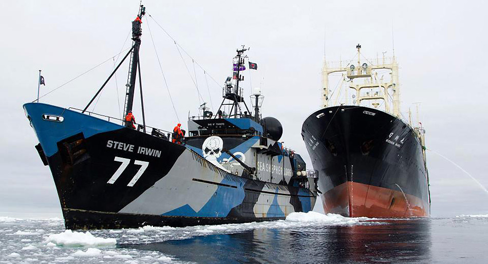 Das Sea Shepherd Schiff Â«Steve IrwingÂ» im Einsatz gegen den WalfÃ¤nger Â«Nisshin MaruÂ».