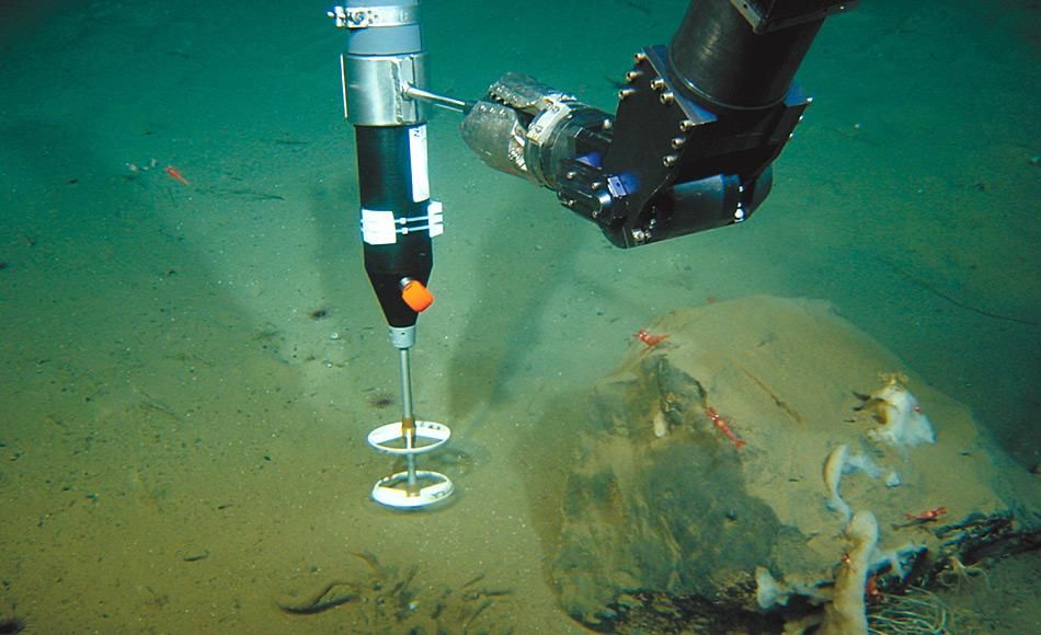 Warmes Wasser wirbelt das Leben in der Arktis durcheinander