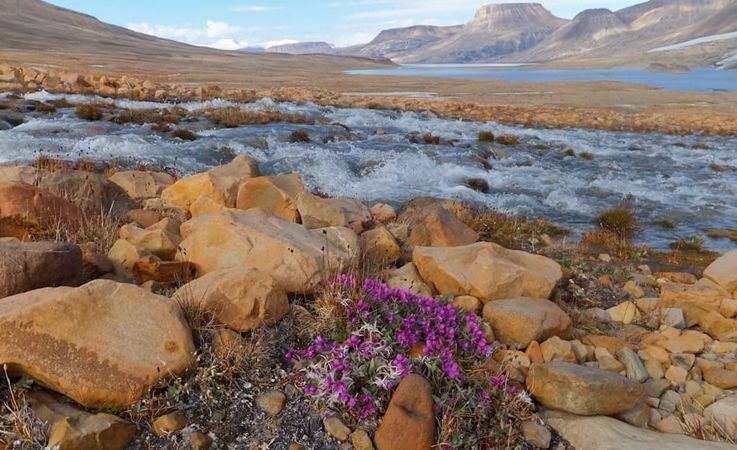 Die Insel Ellesmere liegt im u00e4ussersten Norden des kanadischen Arktis-Archipels. Die Insel ist