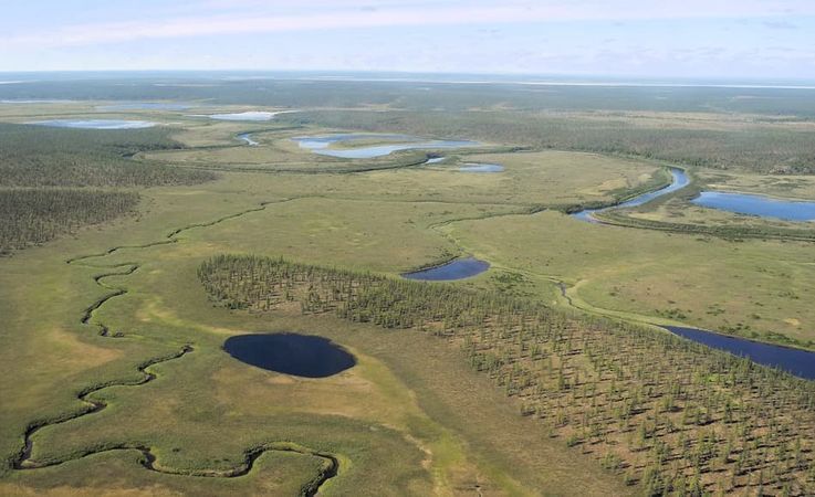 Die sibirische Taiga, die weite Teile des hohen Nordens Russlands ausmacht, ist von