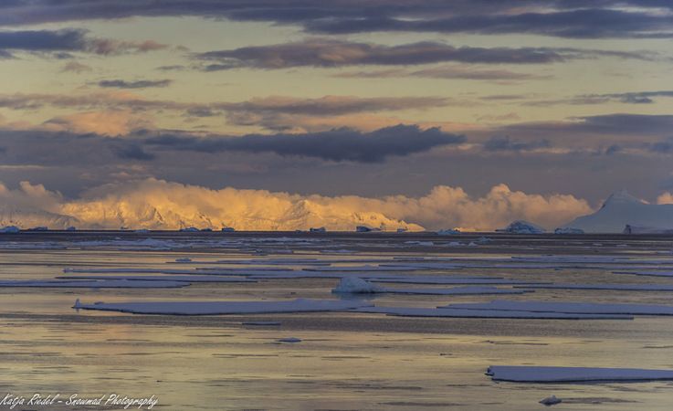 In diesem Jahr hat die antarktische Meereisbedeckung fast den im vergangenen Jahr aufgestellten